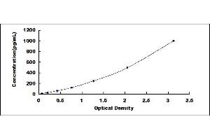 Typical standard curve (IL12A ELISA 试剂盒)