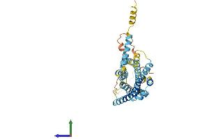 AlphaFold protein structure predicition of Mouse Recombinant Gpr142 Protein, UniprotID Q7TQN9