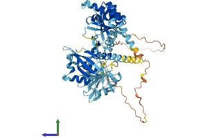 Protein Structure (PS) image for Insulin-Like Growth Factor 2 mRNA Binding Protein 1 (IGF2BP1) (AA 1-577) protein (His tag) (ABIN7562610)