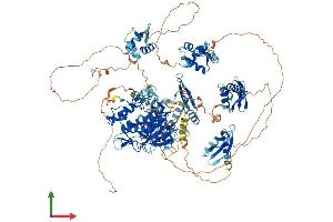 Protein Structure (PS) image for Adenosine Deaminase, RNA-Specific (ADAR) (AA 1-1178) protein (His tag) (ABIN7564907)