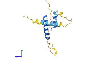 AlphaFold protein structure predicition of Human Recombinant ID3 Protein, UniprotID Q02535