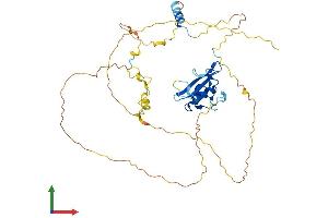 Protein Structure (PS) image for Src Homology 2 Domain Containing F (SHF) (AA 1-423) protein (His tag) (ABIN7546087)