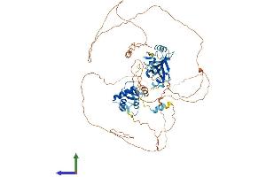 AlphaFold protein structure predicition of Mouse Recombinant Dvl1 Protein, UniprotID P51141