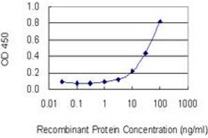 Detection limit for recombinant GST tagged SOCS4 is 0. (SOCS4 抗体  (AA 1-440))