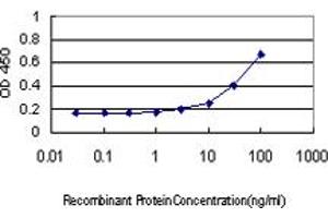 Detection limit for recombinant GST tagged BTN2A1 is approximately 1ng/ml as a capture antibody. (BTN2A1 抗体  (AA 1-334))