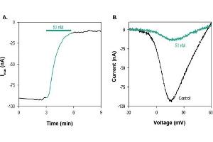 Conotoxin MVIIC omega peptide