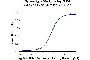 Immobilized Cynomolgus CD46, His Tag at 2 μg/mL (100 μL/well) on the plate.