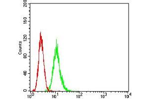 Flow cytometric analysis of HeLa cells using ATG7 mouse mAb (green) and negative control (red). (ATG7 抗体  (AA 558-703))