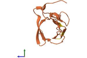 Protein Structure (PS) image for Kv Channel Interacting Protein 3, Calsenilin (KCNIP3) (AA 1-89) protein (Fc Tag) (ABIN7562788)
