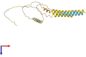 ARL6IP6 Protein (AA 1-226) (His tag)