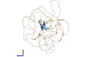 Protein Structure (PS) image for Ring Finger Protein 111 (RNF111) (AA 1-989) protein (His tag) (ABIN7564901)