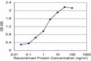 Detection limit for recombinant GST tagged RBM6 is approximately 0. (RBM6 抗体  (AA 1024-1123))