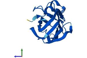 AlphaFold protein structure predicition of Mouse Recombinant Nr2c2ap Protein, UniprotID Q3TV70