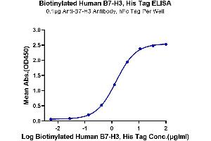 ELISA image for CD276 (CD276) (AA 29-245) protein (His-Avi Tag,Biotin) (ABIN7273969)