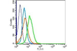 HeLa cells probed with Estrogen receptor beta Polyclonal Antibody, Unconjugated  at 1:100 for 30 minutes followed by incubation with a conjugated secondary -PE) (green) for 30 minutes compared to control cells (blue), secondary only (light blue) and isotype control (orange). (ESR2 抗体  (AA 201-300))