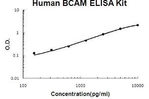 Human BCAM PicoKine ELISA Kit standard curve (BCAM ELISA 试剂盒)