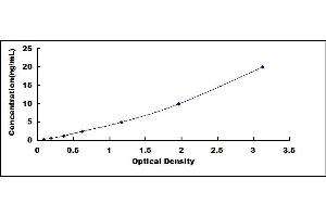 Typical standard curve (Integrin beta 2 ELISA 试剂盒)