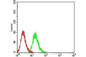 Flow cytometric analysis of HL-60 cells using CD101 mouse mAb (green) and negative control (red). (CD101 抗体  (AA 22-168))