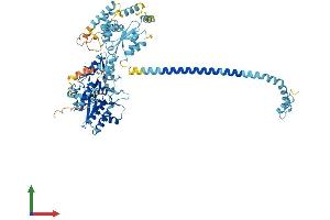 Protein Structure (PS) image for Adenylate Kinase 7 (AK7) (AA 1-723) protein (His tag) (ABIN7554280)