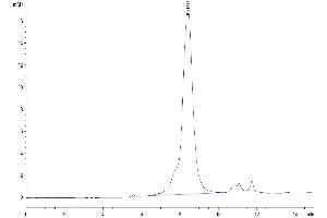 Size-exclusion chromatography-High Pressure Liquid Chromatography (SEC-HPLC) image for delta Like Protein 3 (DLL3) (AA 27-490) protein (His tag) (ABIN7274489)