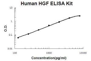 ELISA image for Hepatocyte Growth Factor (Hepapoietin A, Scatter Factor) (HGF) ELISA Kit (ABIN411278)