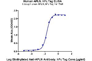 Immobilized Human APLN, hFc Tag at 0.