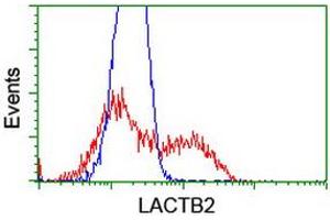 HEK293T cells transfected with either RC201465 overexpress plasmid (Red) or empty vector control plasmid (Blue) were immunostained by anti-LACTB2 antibody (ABIN2454347), and then analyzed by flow cytometry. (LACTB2 抗体  (AA 78-288))