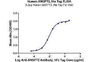 Immobilized Human ANGPT2, His Tag at 2 μg/mL (100 μL/well). (Angiopoietin 2 Protein (ANGPT2) (AA 275-496) (His-Avi Tag))