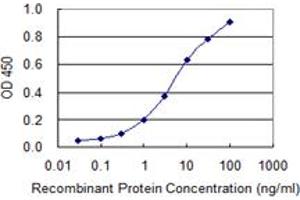 Detection limit for recombinant GST tagged SNAI2 is 0. (SLUG 抗体  (AA 97-169))