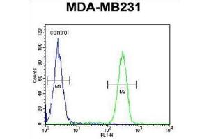 Flow Cytometry (FACS) image for anti-HLA Class I alpha F (HLAF) antibody (ABIN3002479) (HLA-F 抗体)