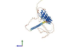 Protein Structure (PS) image for GA-Binding Protein Subunit beta-2 (GABPB2) (AA 1-414) protein (His tag) (ABIN7556745)
