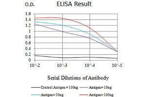 Black line: Control Antigen (100 ng),Purple line: Antigen (10 ng), Blue line: Antigen (50 ng), Red line:Antigen (100 ng) (IDH2 抗体  (AA 1-143))