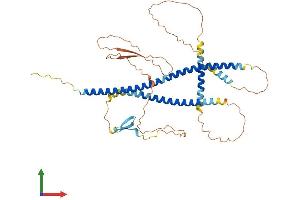 Protein Structure (PS) image for Spermatid Associated (SPERT) (AA 1-448) protein (His tag) (ABIN7546382)
