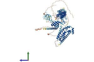 Protein Structure (PS) image for MCF.2 Cell Line Derived Transforming Sequence-Like (MCF2L) (AA 1-1137) protein (His tag) (ABIN7554544)