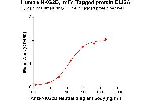 ELISA plate pre-coated by 2 μg/mL (100 μL/well) Human NKG2D, mFc tagged protein (ABIN6961134) can bind Anti-NKG2D Neutralizing antibody in a linear range of 0.