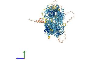 Protein Structure (PS) image for ATP-Binding Cassette, Sub-Family A (ABC1), Member 6 (ABCA6) (AA 1-1624) protein (His tag) (ABIN7564666)