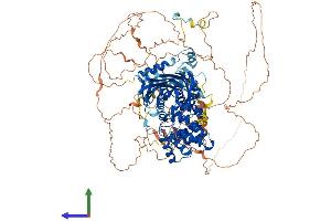Protein Structure (PS) image for StAR-Related Lipid Transfer (START) Domain Containing 8 (STARD8) (AA 1-1019) protein (His tag) (ABIN7564612)