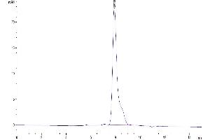 Size-exclusion chromatography-High Pressure Liquid Chromatography (SEC-HPLC) image for Adhesion Molecule with Ig-Like Domain 2 (AMIGO2) (AA 40-398) protein (His tag) (ABIN7273829)