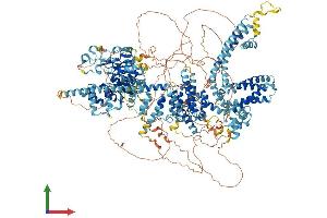 Protein Structure (PS) image for Transient Receptor Potential Cation Channel, Subfamily M, Member 1 (TRPM1) (AA 1-1622) protein (His tag) (ABIN7563654)