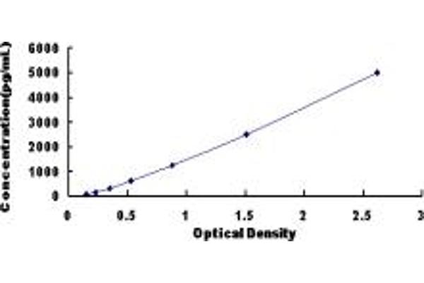 MYL9 ELISA 试剂盒