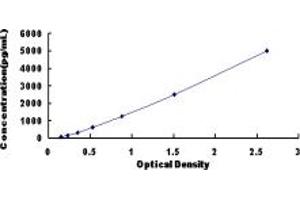 Typical standard curve (MYL9 ELISA 试剂盒)