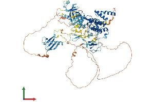 AlphaFold protein structure predicition of Human Recombinant PRKD2 Protein, UniprotID Q9BZL6 (PKD2 Protein (AA 1-878) (His tag))