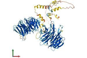 AlphaFold protein structure predicition of Human Recombinant WDR75 Protein, UniprotID Q8IWA0
