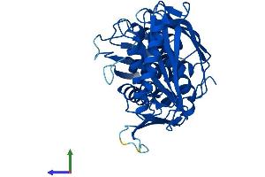 Protein Structure (PS) image for RNA terminal Phosphate Cyclase Domain 1 (RTCD1) (AA 1-366) protein (His tag) (ABIN7561084)