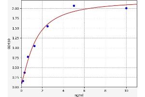 Typical standard curve (HOPX ELISA 试剂盒)
