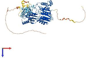 TRMT2A Protein (AA 1-625) (His tag)