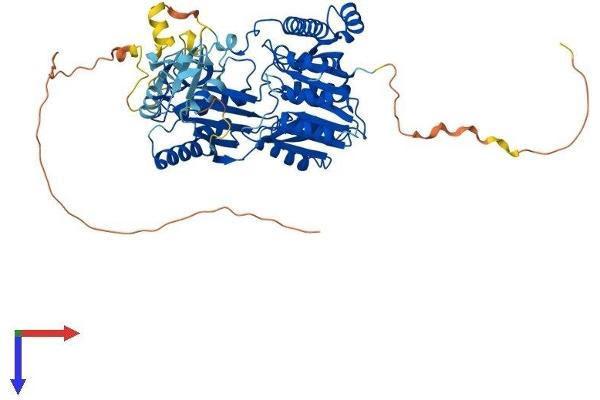 TRMT2A Protein (AA 1-625) (His tag)