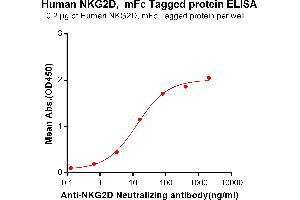 ELISA image for Killer Cell Lectin-Like Receptor Subfamily K, Member 1 (KLRK1) protein (mFc Tag) (ABIN6961134)