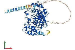 AlphaFold protein structure predicition of Mouse Recombinant Gxylt1 Protein, UniprotID Q3UHH8
