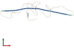 Protein Structure (PS) image for POC5 Centriolar Protein Homolog (POC5) (AA 1-558) protein (His tag) (ABIN7561299)